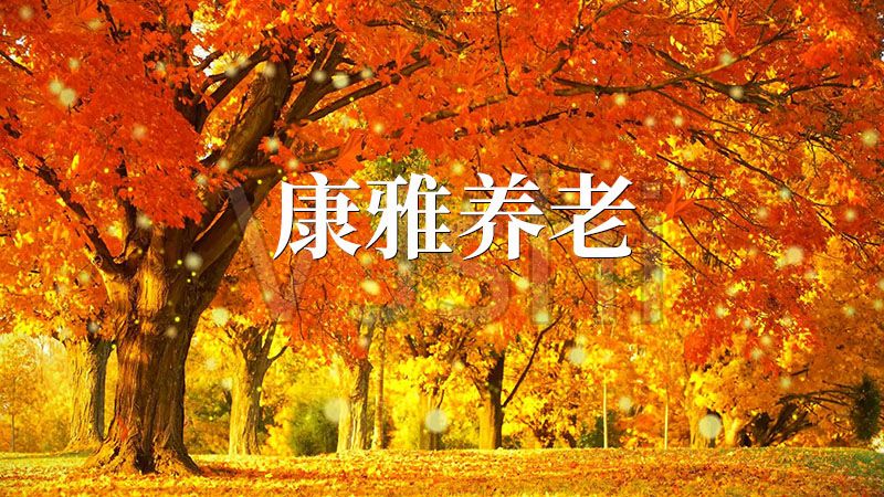 康雅養老